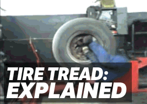 Гумите – малко информация за всеки вид